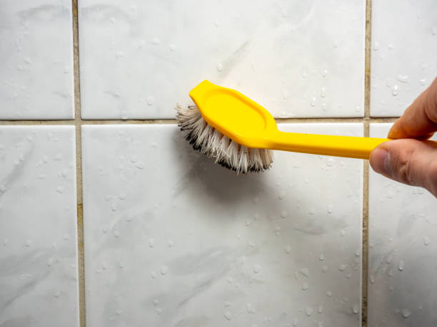 Best Professional Mold Removal  in Hoxie, KS