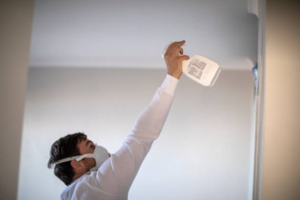 Best Best Mold Removal Companies  in Hoxie, KS