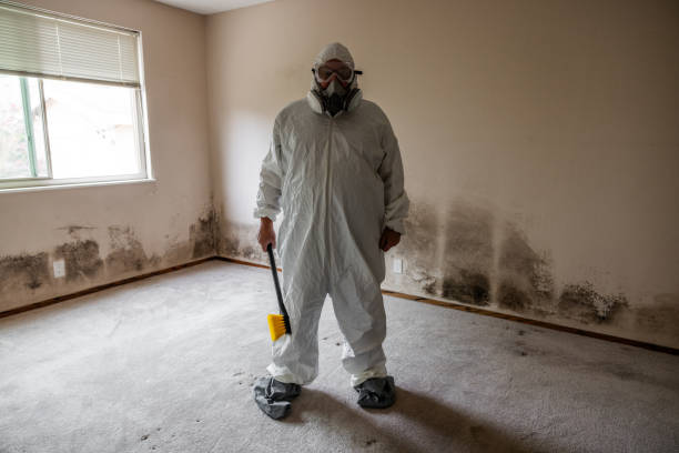 Best Crawl Space Mold Removal  in Hoxie, KS