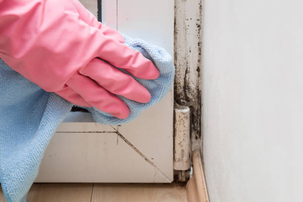 Best Water Damage Restoration  in Hoxie, KS
